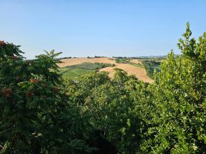 Villa Carla - vicino alla Riviera del Conero e ai Colli dell Infinito