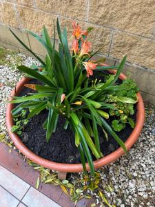 Casa Vacanze Acquazzurra