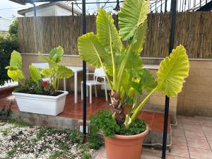 Casa Vacanze Acquazzurra