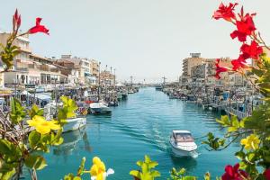 Ile Bleue - Appartement sur la plage