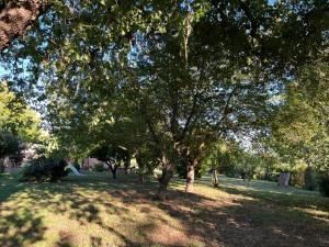Agriturismo Collina Dei Fagiani