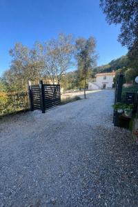 Casa Miron