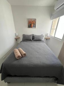 Exclusivo apartamento Casa Mareta Toricess