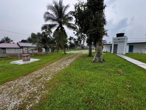 187 Kg Sawah
