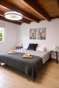 Finca Las Ranas 2