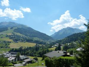 Appartement 3*** calme avec animaux admis et parking, proche pistes à La Clusaz - FR-1-304-107