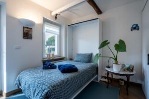 Villino Ca Bianca, vicino ad Alba, NO ZANZARE, accessibile e con sollevatori aerei