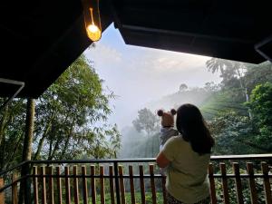 Hill wood nature touch resort