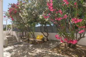 Alegria Villa