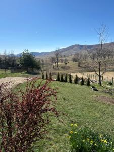 Vila Golden Queen Zlatibor