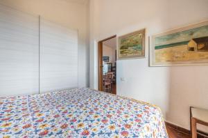 Casa rei img15