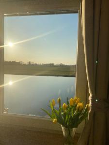 Room with a view, near Amsterdam