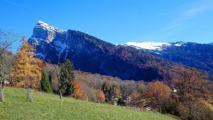 Appartement Samoëns