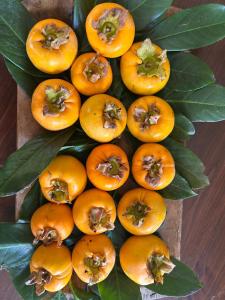 Historic Farmhouse Casa Del Chiodo