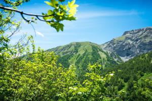 Le Meublé between City Center & Skiing - Happy Rentals