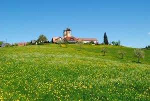 Feldbergblick