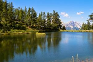 Studio Abete Rosso 500m From Ski - Happy Rentals