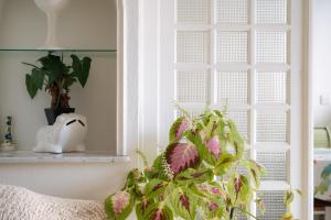 Appartement Le Rial - Erquy
