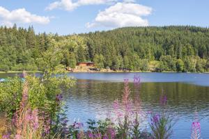Ferienwohnung am Schwellenweiher