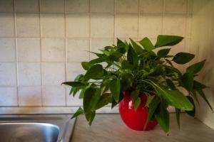 Villa La Tinaia Il Sole Verde