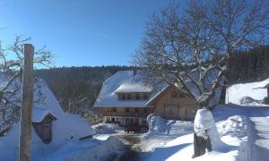 Sigmundenhof Schonach