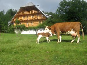 Sigmundenhof Schonach