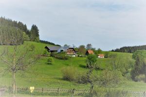 Sigmundenhof Schonach