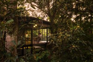 Wayanad Wild - A CGH Earth Experience