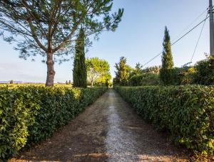 Podere Simonetta - A10