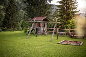 Adlerhorst Rotkehlchen