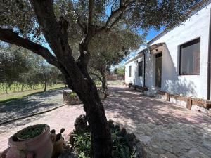 casa Sa Breca img39