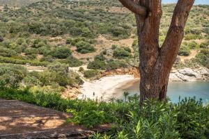 Accu is Prezzus C fronte mare img19