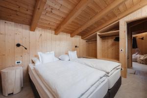 Ciasa Willy App Conturines