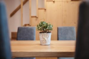 Ciasa Willy App Conturines