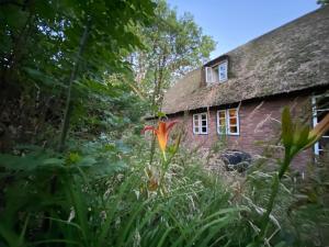 Ferienwohnung Reettraum