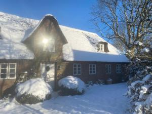 Ferienwohnung Reettraum