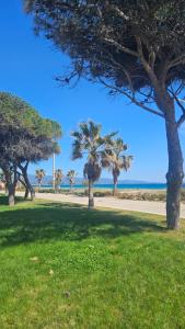 Lorixedda Rooms img73