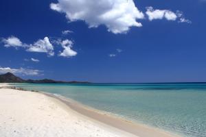 V 20 Campidano img31