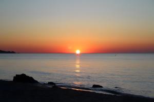 V 20 Campidano img28