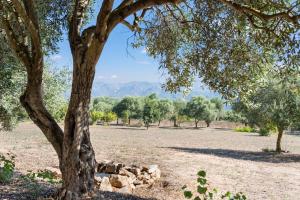 Villa Is Sorrisi img22