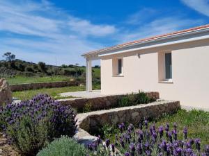 Il Sughereto In Vigna img14