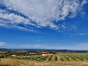 Il Sughereto In Vigna img15