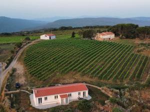 Il Sughereto In Vigna img10