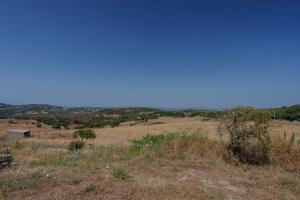 Il Sughereto In Vigna img18
