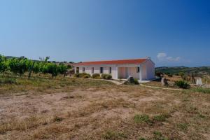 Il Sughereto In Vigna