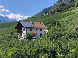 Pixnerhof - Ferienwohnung Golden