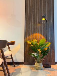 NEW Molek Regency by TheWKNDspace - CozyNordicStudio with 120inch Cinema & Bathtub & 2 Queen Beds