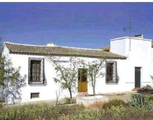 Miramontes
