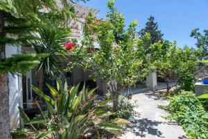 Maggano Paros Apartments 3