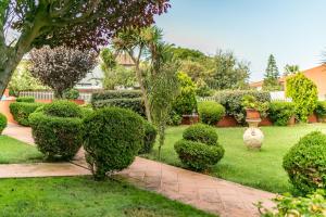 Appartamento Primula